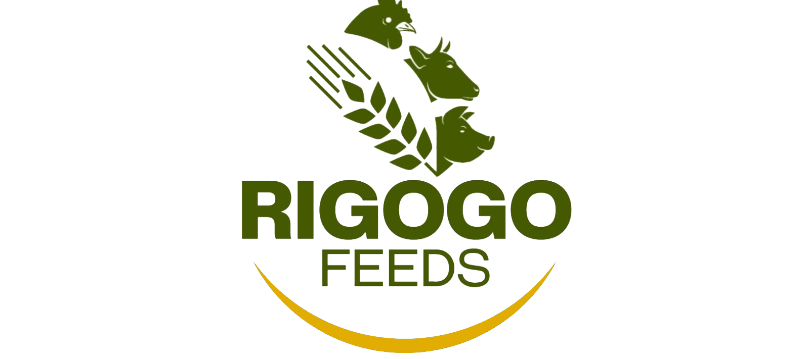 Rigogo Feeds